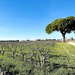 Du Mas - Ambre *